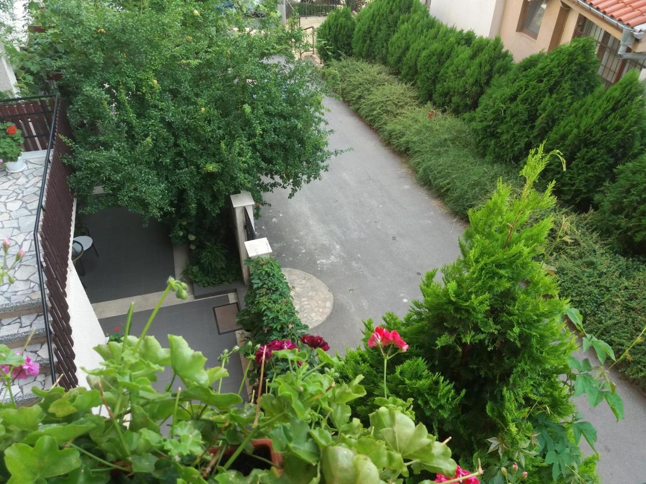 Villa Rosi Sosopol Exterior foto